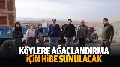 Köylere ağaçlandırma için hibe sunulacak