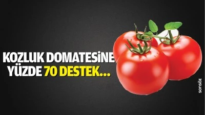 Kozluk Domatesine yüzde 70 destek…