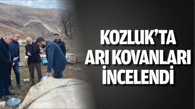 Kozluk’ta arı kovanları incelendi