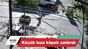 Küçük kıza köpek saldırdı