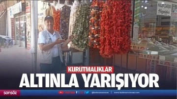 Kurutmalıklar altınla yarışıyor