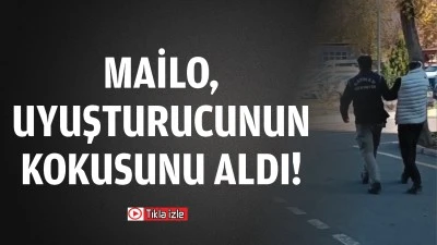 Mailo, uyuşturucunun kokusunu aldı!