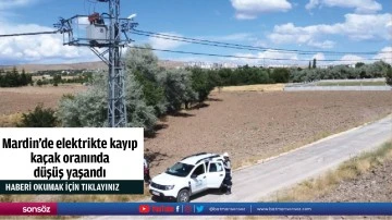 Mardin'de elektrikte kayıp kaçak oranında düşüş yaşandı