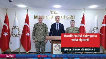 Mardin Valisi Akkoyun'a veda ziyareti