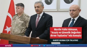 Mardin Valisi Akkoyun, &quot;Asayiş ve Güvenlik Değerlendirme Toplantısı&quot;nda konuştu