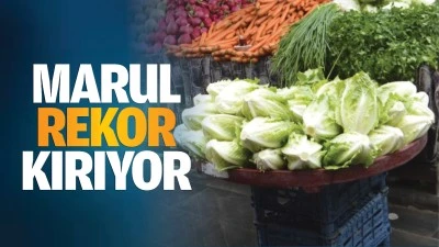 Marul rekor kırıyor