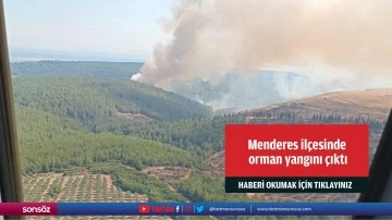 Menderes ilçesinde orman yangını çıktı