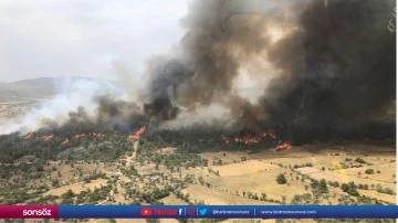 Milas ilçesinde orman yangını çıktı (2)