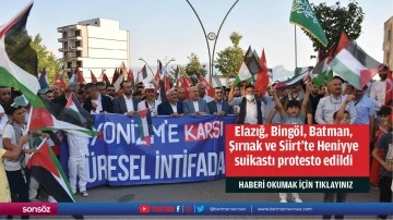 Elazığ, Bingöl, Batman, Şırnak ve Siirt'te Heniyye suikastı protesto edildi