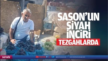 Sason’un siyah inciri tezgâhlarda…