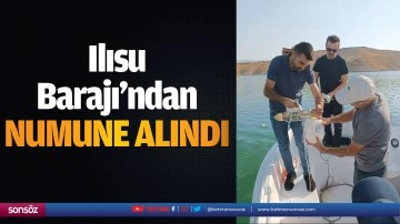 Ilısu Barajı’ndan numune alındı