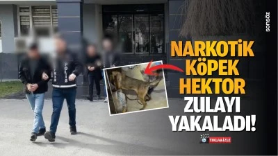 Narkotik köpek Hektor, zulayı yakaladı!