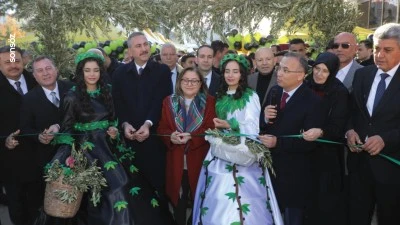 Nizip'te zeytin festivali düzenlendi