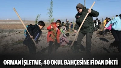 Orman İşletme, 40 okul bahçesine fidan dikti