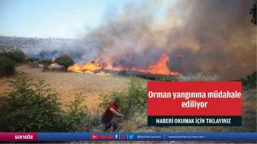 Orman yangınına müdahale ediliyor