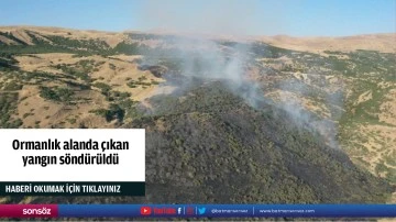 Ormanlık alanda çıkan yangın söndürüldü