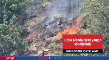 Otluk alanda çıkan yangın söndürüldü