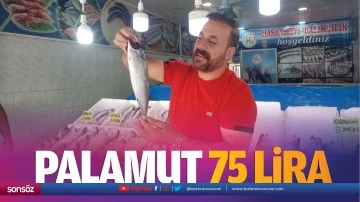 Palamut 75 lira…