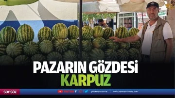 Pazarın gözdesi karpuz