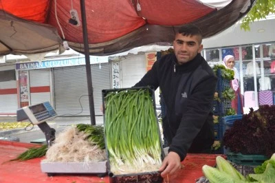 Pazarın yeşil altını…