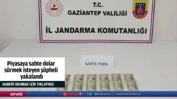 Piyasaya sahte dolar sürmek isteyen şüpheli yakalandı