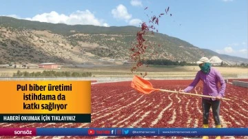 Pul biber üretimi istihdama da katkı sağlıyor