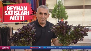 Reyhan satışları arttı