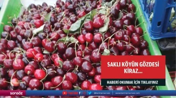 Saklı Köyün gözdesi kiraz…