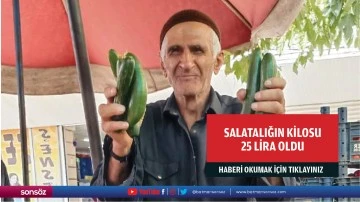 Salatalığın kilosu 25 lira oldu