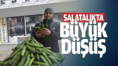 Salatalıkta büyük düşüş