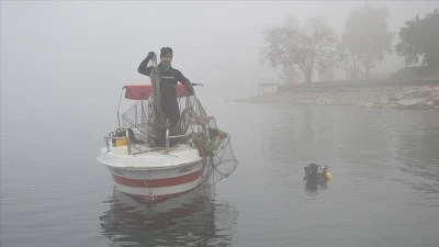 Sapanca Gölü &quot;hayalet ağ&quot;lardan temizleniyor