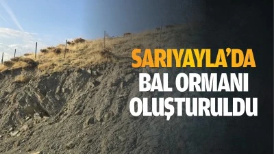 Sarıyayla’da bal ormanı oluşturuldu