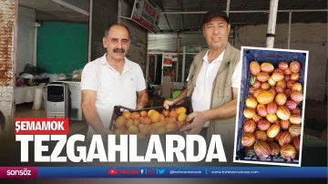 Şemamok tezgahlarda