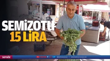 Semizotu 15 lira