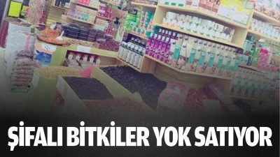 Şifalı bitkiler yok satıyor 