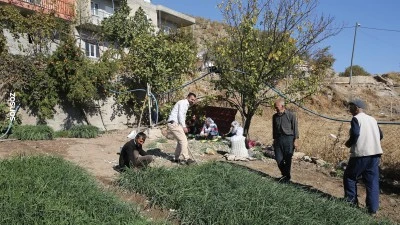 Siirt'in &quot;sera köyü&quot;nde muhtarından imamına herkes toprağın bereketinden yararlanıyor