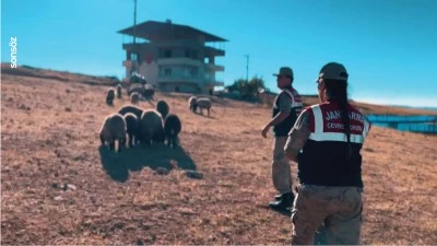 Siirt'te jandarma ekiplerinden denetim ve bilgilendirme çalışmaları yaptı