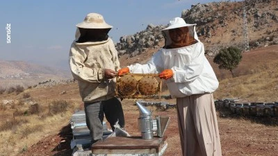 Siirtli genç kız, arıcılıkta kendi kovanlarını kurdu