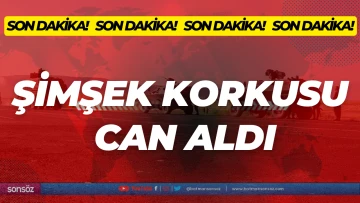 Şimşek korkusu can aldı