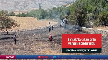 Şırnak'ta çıkan örtü yangını söndürüldü