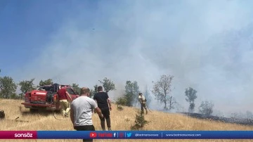 Şırnak'ta çıkan örtü yangınında 15 dönüm alan zarar gördü