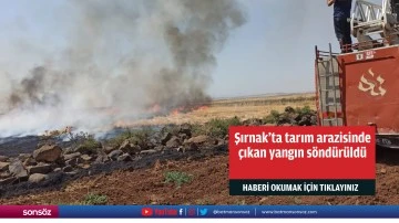 Şırnak'ta tarım arazisinde çıkan yangın söndürüldü