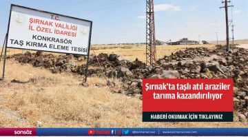 Şırnak'ta taşlı atıl araziler tarıma kazandırılıyor