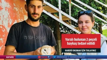 Şırnak'ta yaralı bulunan 2 peçeli baykuş tedavi edildi