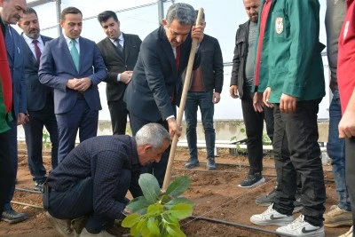 Şırnak Valisi Ekici, öğrencilerle tropikal meyve fidesi dikti