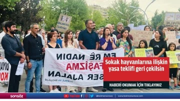 Sokak hayvanlarına ilişkin yasa teklifi geri çekilsin