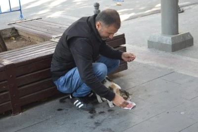 Sokak kedilerini kendi eliyle besliyor