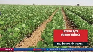 Soya fasulyesi ekimine başlandı