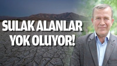 Sulak alanlar yok oluyor!