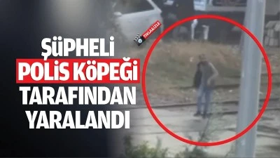 Şüpheli polis köpeği tarafından yaralandı